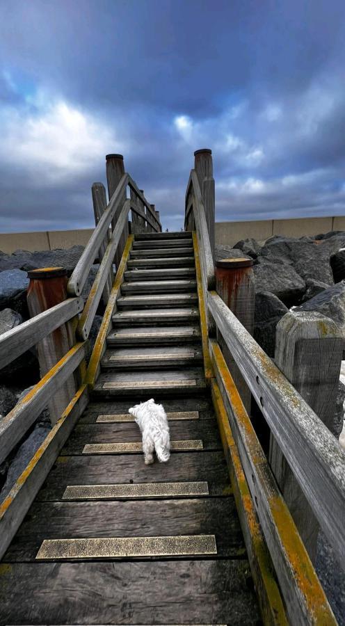 Camber Sands Seascape Horizon Decked Villa Dog Friendly エクステリア 写真